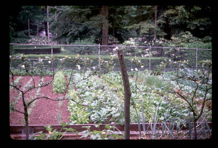 Slide952.jpg